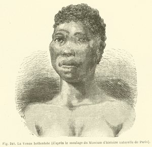 La Vénus hottentote, d