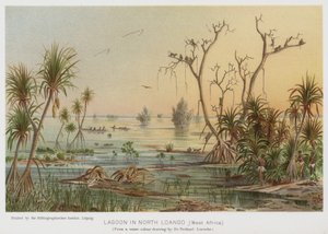 Lagune au nord de Loango, Afrique de l