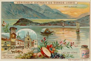 Lac de Côme - European School