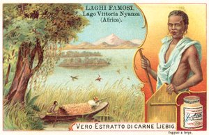 Lac Victoria, Afrique - European School