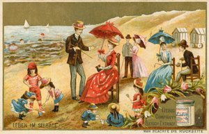La vie au bord de la mer - European School