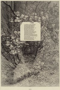 Accouplé (gravure) - European School