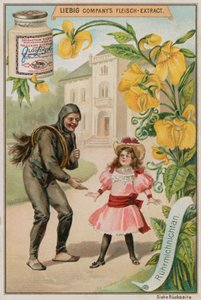 Mimosa - European School