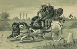 Singes conduisant une calèche tirée par deux chats - European School