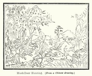 Chasse au cerf porte-musc - European School