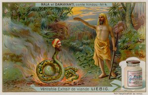 Nala sauve le serpent Naga Karkotaka - European School
