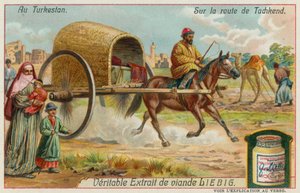 Sur la Route de Tachkent en Ouzbékistan - European School