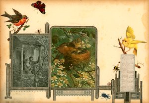 Page du volume I de Sammelsurium (matériel imprimé)