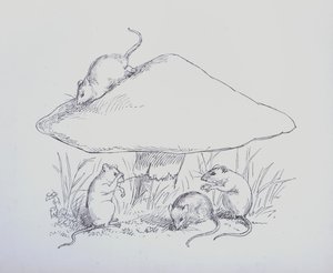 Page d