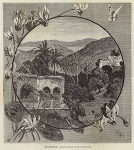 Palestine, Village galiléen près de Nazareth - European School