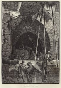 Palestine, Dans le bazar de Jaffa - European School