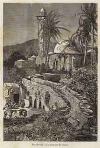 Palestine, La mosquée de Djenim - European School