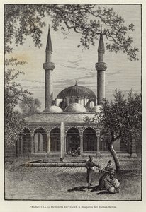 Palestine, Mosquée El-Tekieh ou Hospice du Sultan Selim - European School