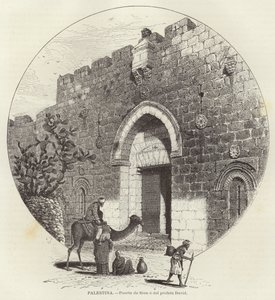 Palestine, Porte de Sion ou du prophète David
