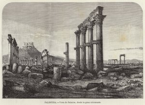 Palestine, Vue de Palmyre, depuis la grande colonnade - European School