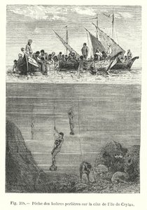 Pêche des huîtres perlières sur la côte de l