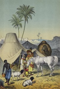 Peuples, animaux et plantes d