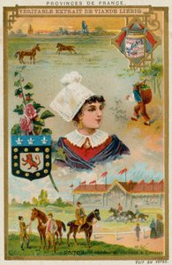 Poitou - European School