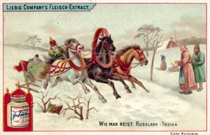 Troïka russe - European School