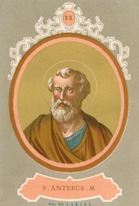 S Anterus M - European School