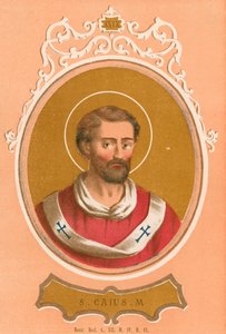 Saint Caius M - European School
