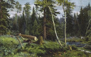 Scène dans une forêt avec des arbres abattus (lithographie couleur)