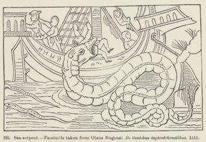 Serpent de mer - European School
