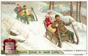 Luge - European School