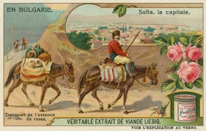 Sofia et un commerçant transportant de l
