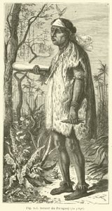 Sorcier du Paraguay - European School