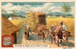 Plantation de canne à sucre, Cuba (chromolithographie) - European School