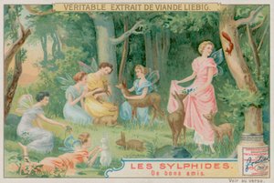Sylphes et animaux de la forêt - European School