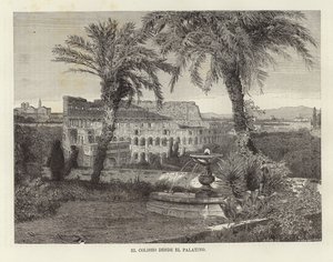 Le Colisée depuis le Palatin - European School