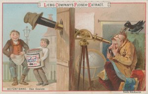 Les Cinq Sens : La Vue - European School