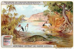 Le Nil à sa sortie du lac Victoria (chromolithographie)
