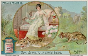 Le tigre - European School