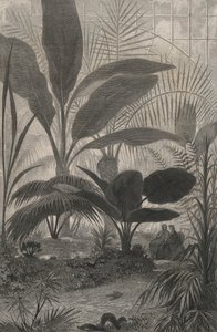 Un Jardin D
