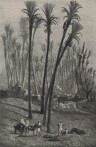 Une oasis au Sahara (gravure) - European School
