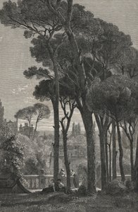 Villa d
