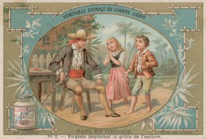 Virginie plaide pour l