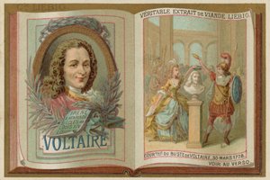 Voltaire - European School