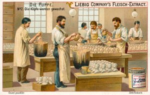 Cirage des têtes de poupées - European School