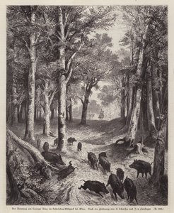 Sanglier sur le Lorenzer Berg dans le parc impérial à Vienne, Autriche