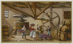 Vinification : pressoir des Hospices de Beaune, Clos de Vougeot, Bourgogne, France - European School