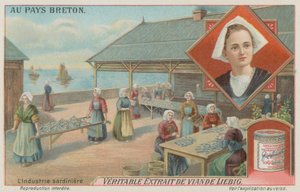 Femmes préparant des sardines - European School