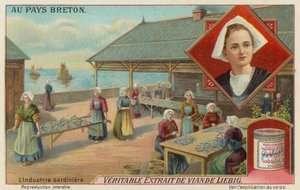 Femmes préparant des sardines - European School