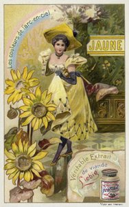Jaune - European School
