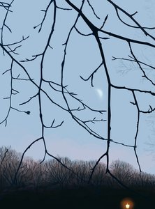 Branches, aube, Prospect Park (art numérique)