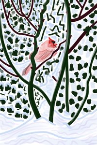 Cardinal dans la neige (art numérique) - Evan Sklar