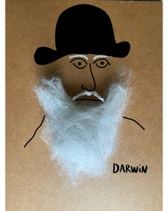Charles Darwin - Evan Sklar